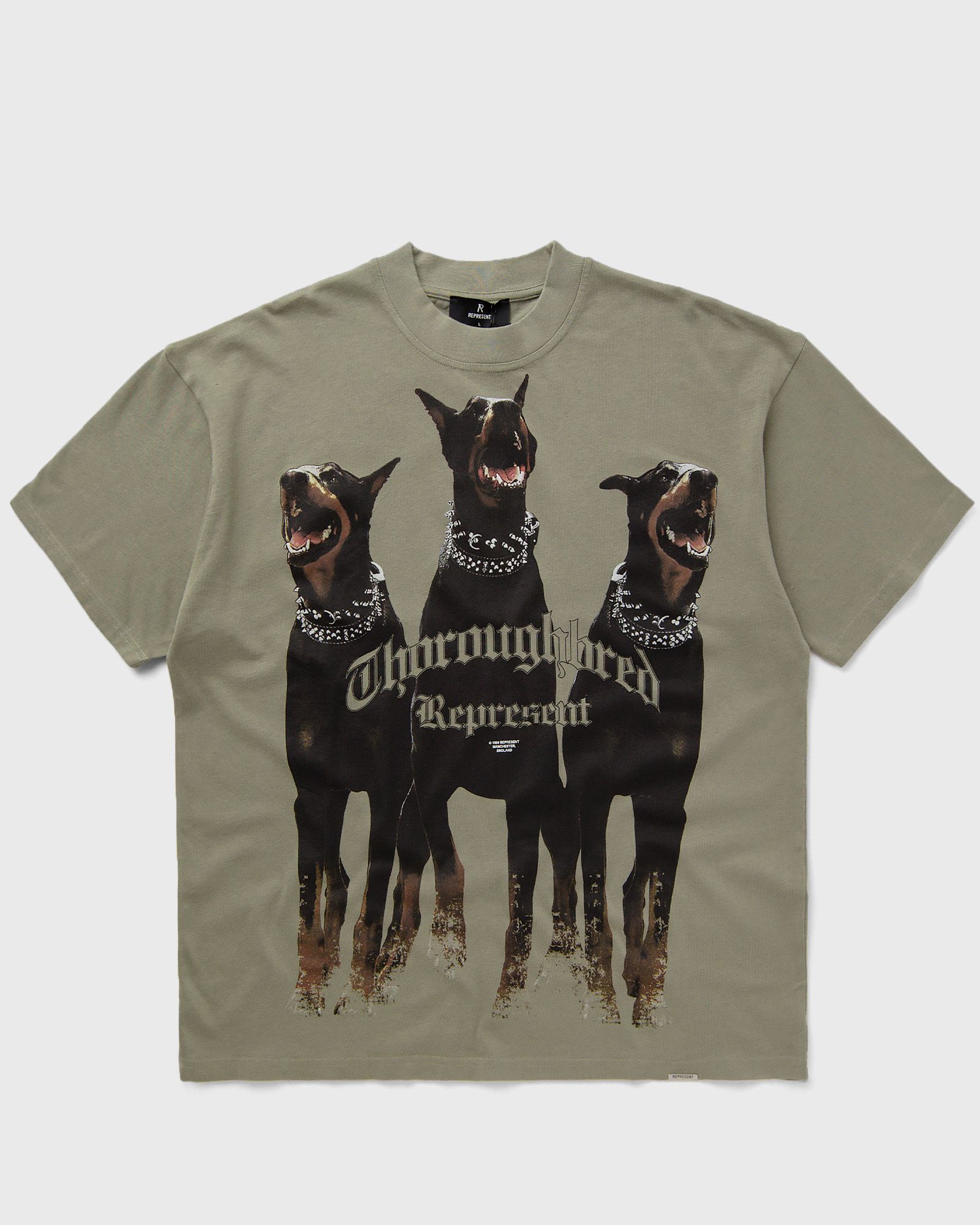 Represent THOROUGHBRED T-SHIRT men Shortsleeves green in Größe:XL von Represent