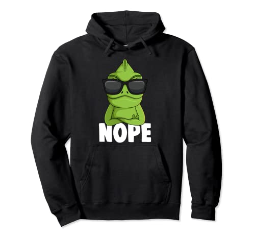 Chameleon Echse Chamäleon Kinder Jungen Mädchen Pullover Hoodie von Reptil Designs & Geschenke