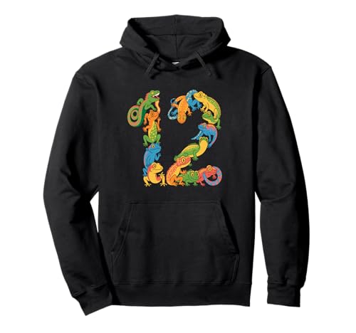 Kinder 12. Geburtstag Reptilien Eidechsen Motto 12 Jahre alte Jungen Pullover Hoodie Kinder 12. Geburtstag Reptilien Eidechsen Motto 12 Jahre alte Jungen Pullover Hoodie von Reptile Animal Lizards For 12 Year Old Boys