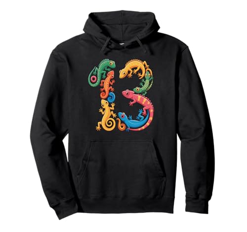 Kinder 13. Geburtstag Reptilien Eidechsen Motto 13 Jahre alte Jungen Pullover Hoodie Kinder 13. Geburtstag Reptilien Eidechsen Motto 13 Jahre alte Jungen Pullover Hoodie von Reptile Animal Lizards For 13 Year Old Boys