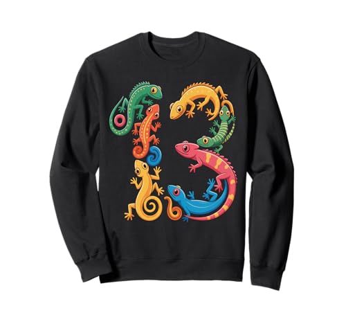 Kinder 13. Geburtstag Reptilien Eidechsen Motto 13 Jahre alte Jungen Sweatshirt von Reptile Animal Lizards For 13 Year Old Boys