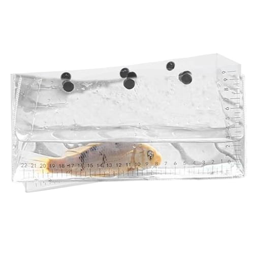 Clear Fish Bags, Outdoor Lure Storage, Convenient Snap Design, 10.24x4.53x2.56 Inches, UV Resistant Scale, Foldable Observation Pack for Women and Men Fishing Enthusiasts von Riaisttd