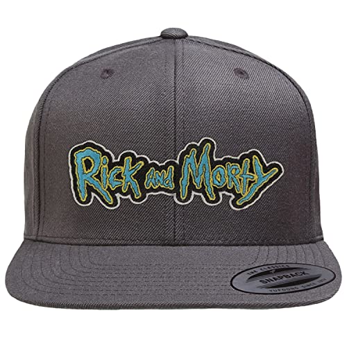 Rick and Morty Offizielles Lizenzprodukt Premium Snapback Cap (Dunkelgrau), Einheitsgröße von Rick and Morty