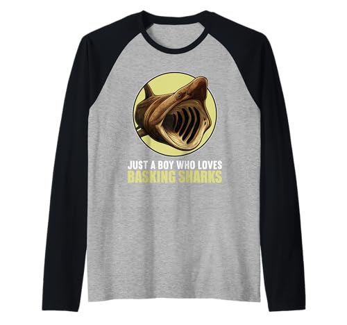 Herren Riesenhaie Riesenhai Raglan Herren Riesenhaie Riesenhai Raglan von Riesenhaie Riesenhai Tier Shop