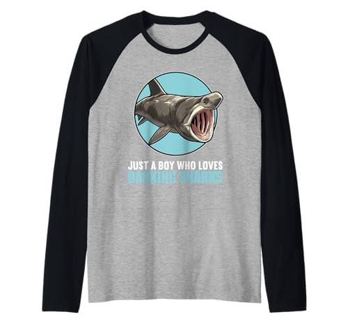 Herren Riesenhaie Riesenhai Raglan Herren Riesenhaie Riesenhai Raglan von Riesenhaie Riesenhai Tier Shop