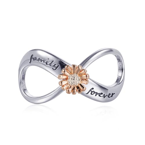 Rimgoris 925 Sterling Silber Anhänger Charm für Damen Armbänder Familie Unendlichkeitssymbol Chrysantheme Muttertag Valentinstag Geburtstag Geschenk Charms für Damen von Rimgoris