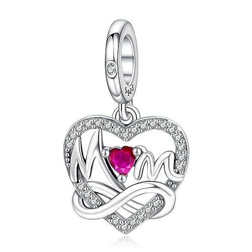 Rimgoris 925 Sterling Silber Charm für Frauen Armbänder Halskette Mom Infinity Love Dangle Charms Frauen Mädchen Armband Charm Geschenke Rimgoris 925 Sterling Silber Charm für Frauen Armbänder Halskette Mom Infinity Love Dangle Charms Frauen Mädchen Armband Charm Geschenke von Rimgoris