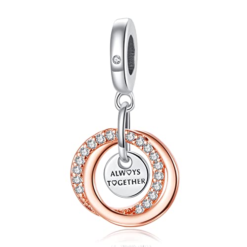 Rimgoris 925 Sterling Silber Charm für Frauen Armbänder Halskette Rose Gold Ineinandergreifend Immer zusammen 5A Zirkonia Valentinstag Geburtstag Muttertag Geschenk Charms für Frauen von Rimgoris
