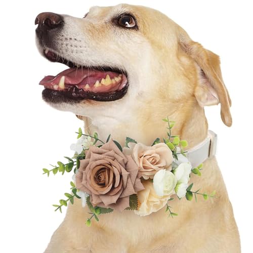 Rinlong Rosa Blume für Halsbänder, Hochzeit, Blume, Hundehalsband, Charms, weiblich, Welpen, Mädchen, Katze, Pflegezubehör, Dusty Rose Rinlong Rosa Blume für Halsbänder, Hochzeit, Blume, Hundehalsband, Charms, weiblich, Welpen, Mädchen, Katze, Pflegezubehör, Dusty Rose von Rinlong