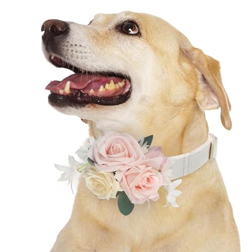 Rinlong Rosa Blume für Halsbänder, Hochzeit, Blume, Hundehalsband, Charms, weiblich, Welpen, Mädchen, Katze, Pflegezubehör, Rouge Rinlong Rosa Blume für Halsbänder, Hochzeit, Blume, Hundehalsband, Charms, weiblich, Welpen, Mädchen, Katze, Pflegezubehör, Rouge von Rinlong