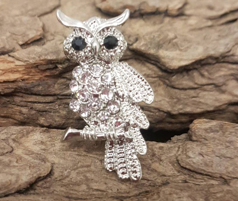 Vintage Eulen Brosche 1980Er Jahre Mit Schwarzen Strassaugen Und Strukturierten Details Für Ihre Federn von RioRetroVintageWear