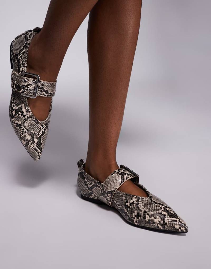 River Island - Spitze Ballerinas mit Schlangenprint und Schnallendetail-Grau von River Island