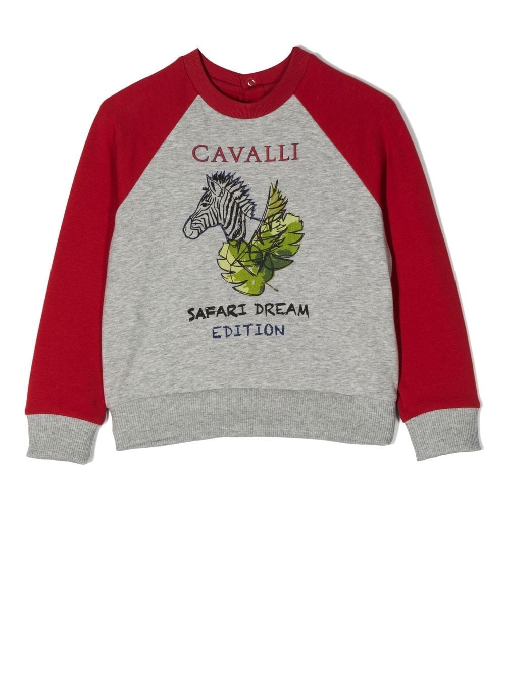 Roberto Cavalli Junior Sweatshirt mit grafischem Print - Rot von Roberto Cavalli Junior