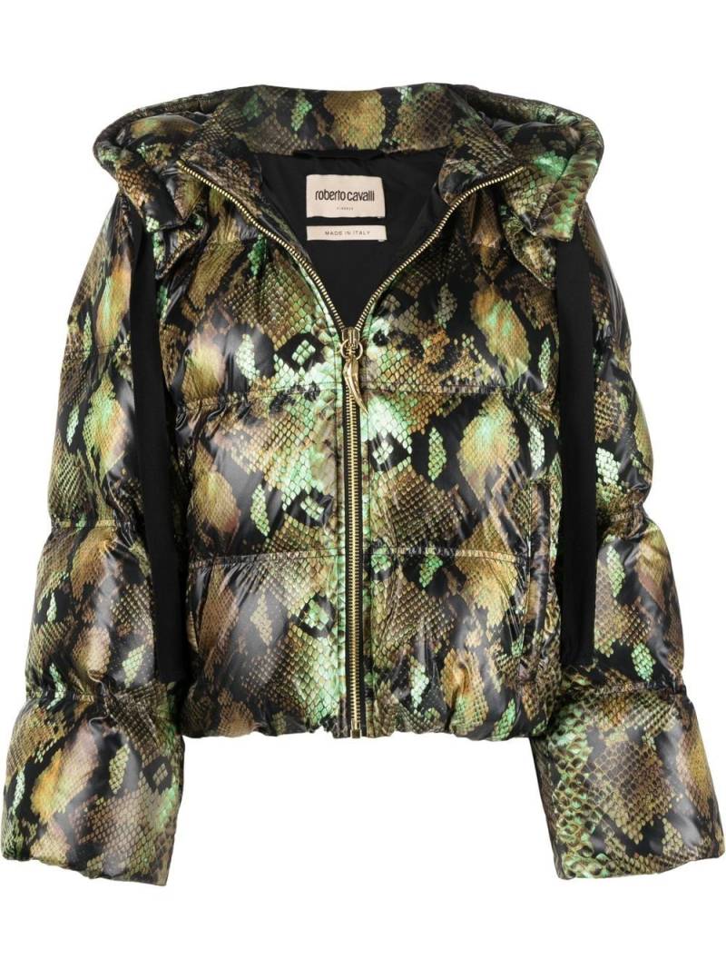 Roberto Cavalli Jacke mit Schlangenleder-Print - Grün von Roberto Cavalli