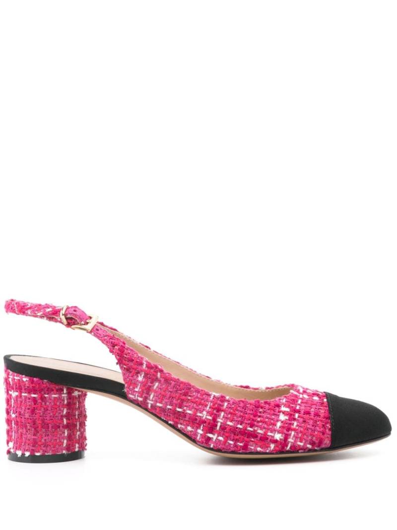 Roberto Festa Pumps aus Tweed 65mm - Rosa von Roberto Festa