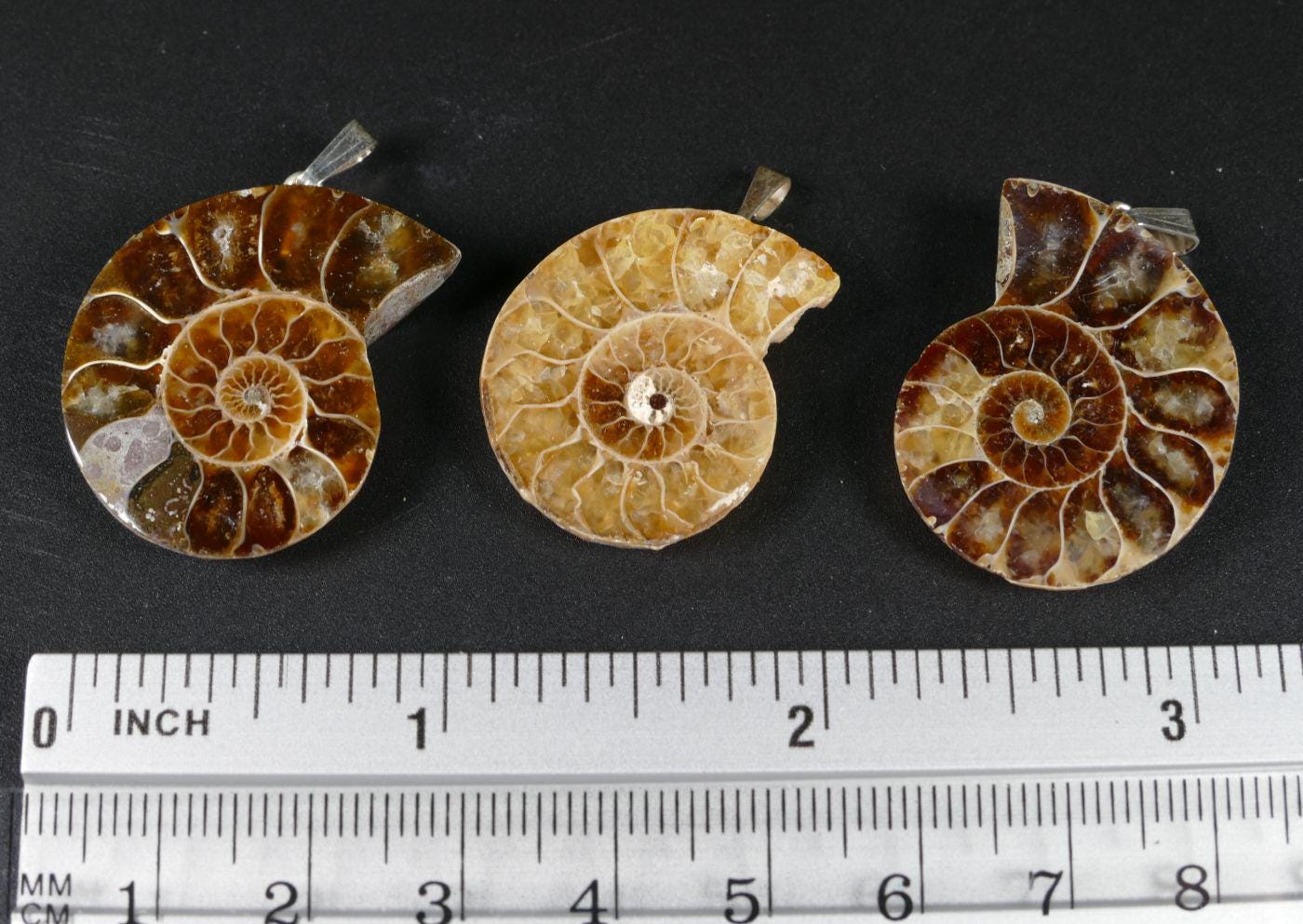 3Er Set Naturfossil Ammonit Anhängern Aus Madagaskar Mit 925Er Silber Anhängerschlaufe 3Er Set Naturfossil Ammonit Anhängern Aus Madagaskar Mit 925Er Silber Anhängerschlaufe von RockShopCZ