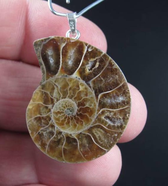 Fossile Madagaskar Ammonit Cleoniceras Cleon Half Cut 925 Silber Anhänger | Über 100 Myo von RockShopCZ
