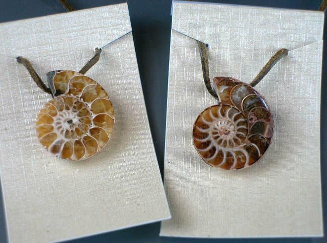 Fossiler Ammonit Madagaskar Cleoniceras Cleon Halb Schnitt Gebohrter Anhänger Mit Lederband | Über 100 Myo 1stk Fossiler Ammonit Madagaskar Cleoniceras Cleon Halb Schnitt Gebohrter Anhänger Mit Lederband | Über 100 Myo 1stk von RockShopCZ