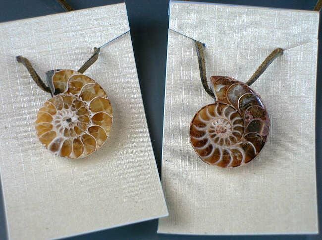 Fossiler Ammonit Madagaskar Cleoniceras Cleon Halb Schnitt Gebohrter Anhänger Mit Lederband | Über 100 Myo 1stk von RockShopCZ