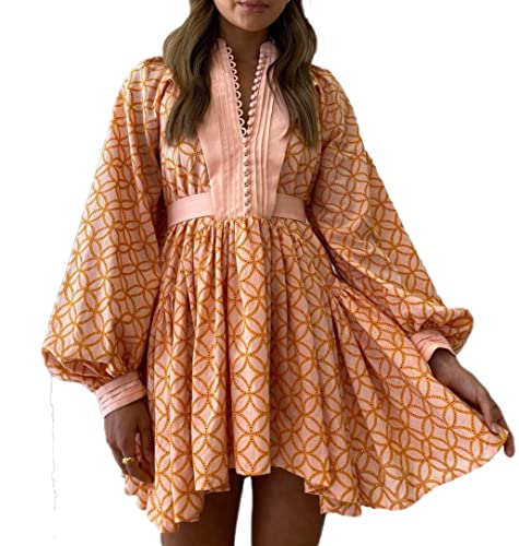 Roiii Damen A-Linie Spitze Lose Barock Button Down Langarm Freizeitkleider V-Ausschnitt Stickerei Party Kurzes Kleid, Wassermelone, X-Small von Roiii