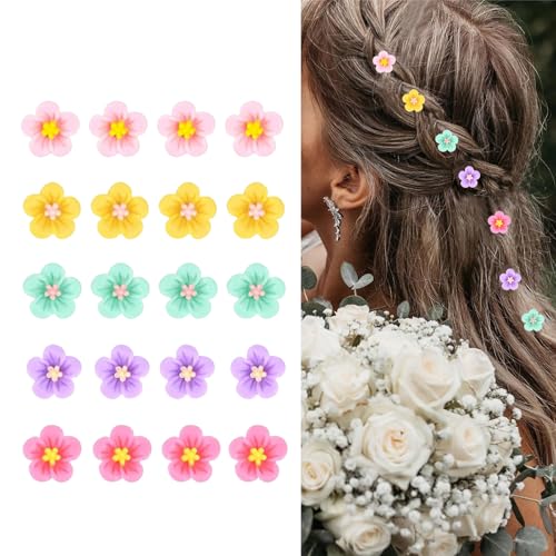 Blumen Haare 20 PCS Haarklammer Blume Haarspange Blume Niedlich Blumenhaarklammer Flower Hair Clip Geeignet für Mädchen und Frauen Kann als Geschenk Verwendet Werden (Mehrfarbig) von Roinaid