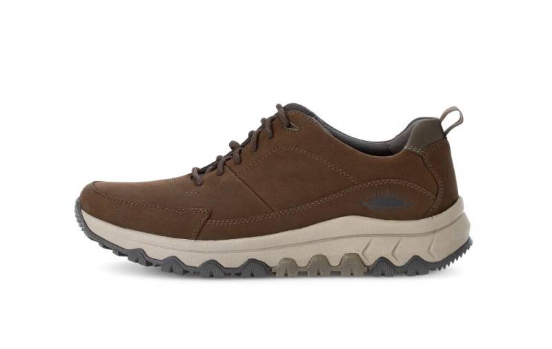 Sneaker low espresso/cactus von Rollingsoft