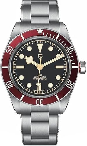 Pagani Design PD-1671 Herren Automatikuhr Sport Mechanisch Edelstahl Wasserdicht Herrenuhr Automatik Datum Faltschließe von RollsTimi