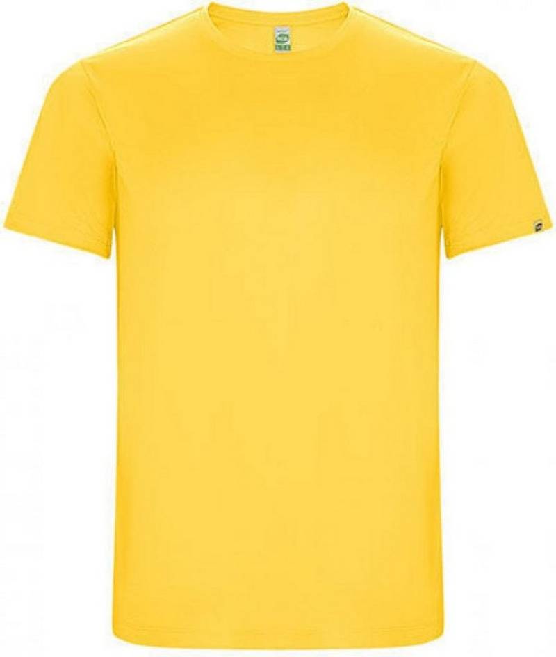 Roly Rundhalsshirt Men´s Imola Funktions T-Shirt - 50% recyceltem Polyester von Roly