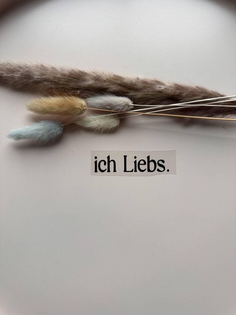 Bügelbild - Ich Liebs von RonjasManufaktur