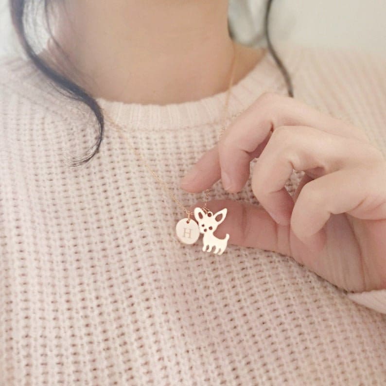 Personalisierte Chihuahua Halskette Initiale Beste Freundin Geschenk Hundehalskette Personalisiertes Hundeschmuck Schwester von RonnyPop