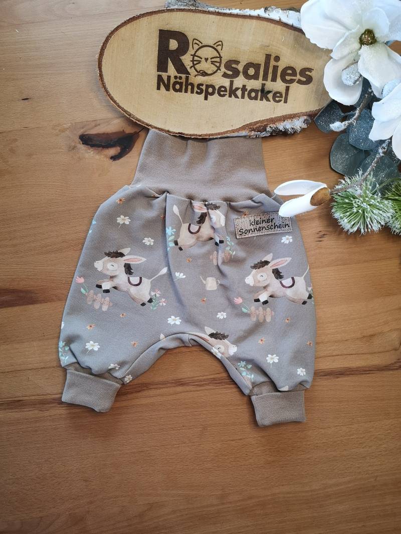 Pumphose Kleiner Esel Aus Sommersweat Haremshose Sweat Jogger Jungs Und Unisex von RosaliesNaehspektakl
