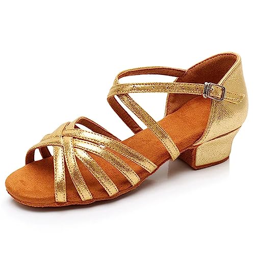 Rosefinch Professionelle Latein Tanzschuhe für Frauen Low Heels 3.5cm für Mädchen Latein Chacha Salsa Jazz Ballsaal Tanzschuh für Anfänger Übungsspiel von Rosefinch