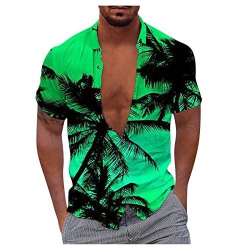 Tshirt Herren Weiss Hemd Herren Regular Fit Leinenhemd Herren Stehkragen Knopfleiste Musterdruck Hawaii Hemd Kurzarm Klassischer Passform Sommerhemd Basic Strandhemd Langarmshirt Herren (Grün, L) von Rosennie