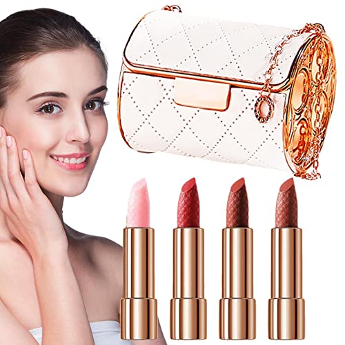 Langanhaltendes mattes Lippenstift-Set - Mattes Lippenstift-Set mit Kettenetui | Antihaft-wasserdichtes mattes Lipgloss-Set für Frauen und Mädchen, Make-up-Geschenkset Rosixehird von Rosixehird