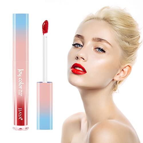 Spiegellippenstift | Langanhaltender roter Lippenstift für Frauen,Lipgloss, antihaftbeschichtet, verblasst nicht, wasserdicht, hochpigmentiertes Samt-Lipgloss-Set, Schönheitskosmetik, Rosixehird von Rosixehird