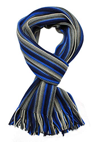 Rotfuchs Strickschal Herrenschal Warm & weich Unisex Wolle gestreift multi mehrfarbig (blau grau) R-503 von Rotfuchs