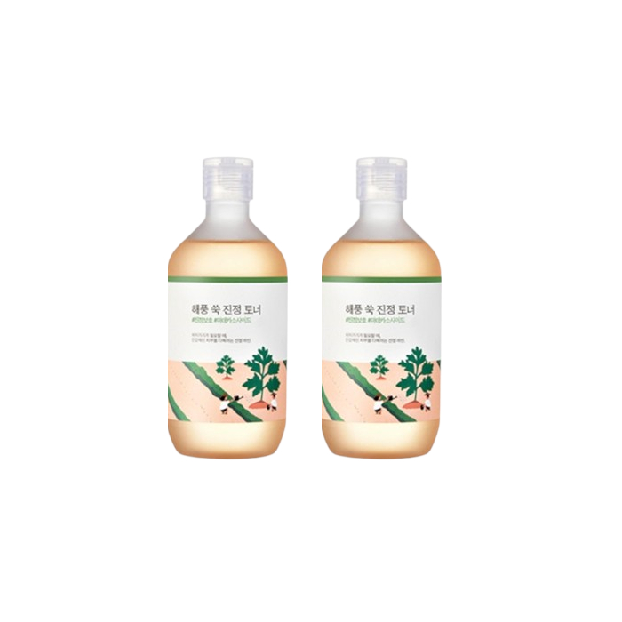 Round Lab - Mugwort Calming Toner - 300ml (2ea) Set von Round Lab