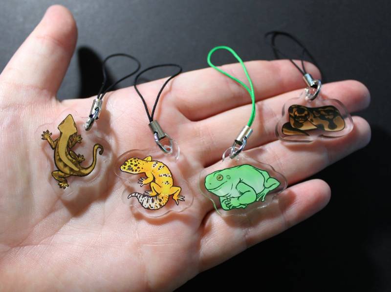 Reptil 1-Zoll-Acrylanhänger - Geckos, Königspython Und Laubfrosch von RoundAndTalented