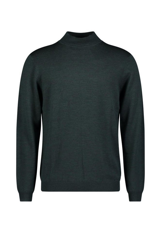 Roy Robson Strickpullover HERREN-PULLOVER 1/1 ARM von Roy Robson