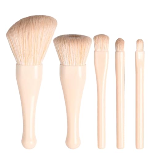Rrlihjgu Kleines Make-up-Pinsel-Set, Make-up-Pinsel mit Spiegeletui, professioneller, einziehbarer Kosmetik-Applikator für Concealer, Rouge, Lippen, loses Puder, Lidschatten, Foundation von Rrlihjgu