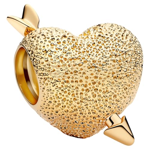 Ruaidhra Sterling Silber S925 Herz Gold Charms & Beads für Damen,Family,Blume Glühwürmchen Moments Charm Anhänger für Armbänder,Sicherheitskette,Geschenk für Frauen Geburtstag Ruaidhra Sterling Silber S925 Herz Gold Charms & Beads für Damen,Family,Blume Glühwürmchen Moments Charm Anhänger für Armbänder,Sicherheitskette,Geschenk für Frauen Geburtstag von Ruaidhra