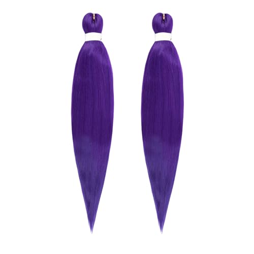 2 Stk Kunsthaar zum Einflechten 66 cm, Haarsträhnen zum Braiding Hair, Braids Extensions, Geflochtener Zopf Haarteil, Bunte Haarsträhnen Flechthaar für Kinder Party Urlaub Karneval Deko (2, G) von Rubu22a