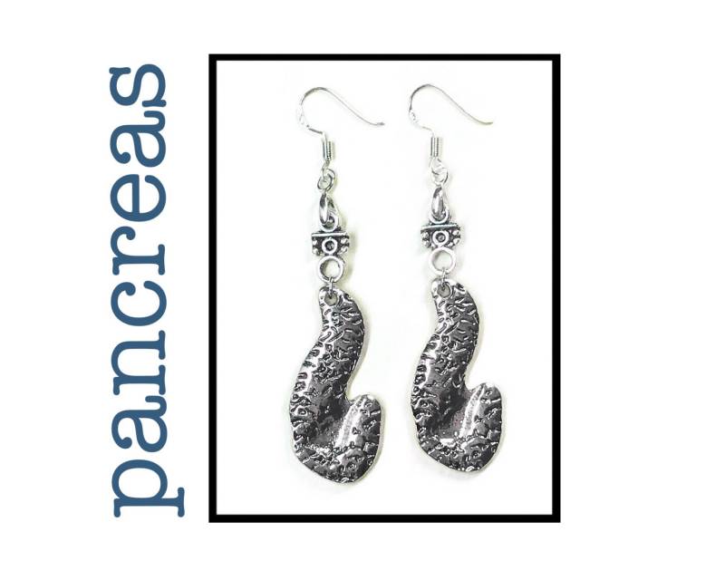 Bauchspeicheldrüse Ohrringe, Anatomie Schmuck Bauchspeicheldrüse Ohrringe, Anatomie Schmuck von RubyAppleJewelry