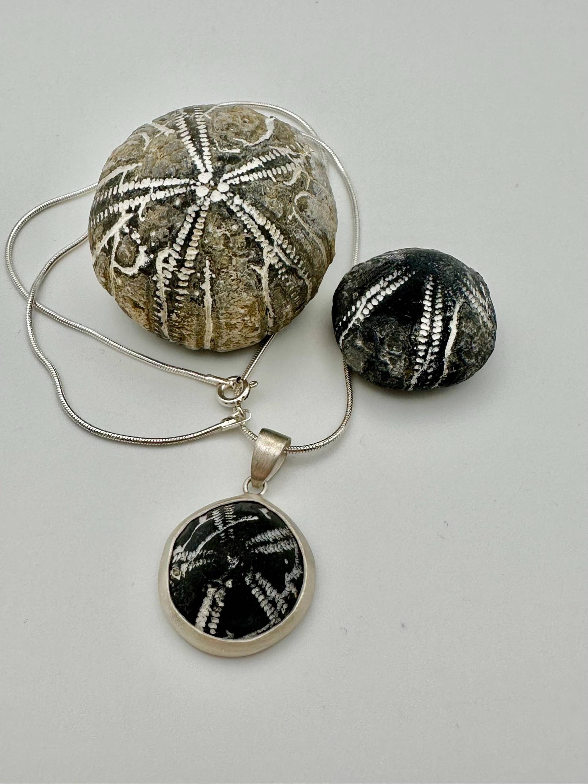 Seeigel Kette 3 von RuegenDesign