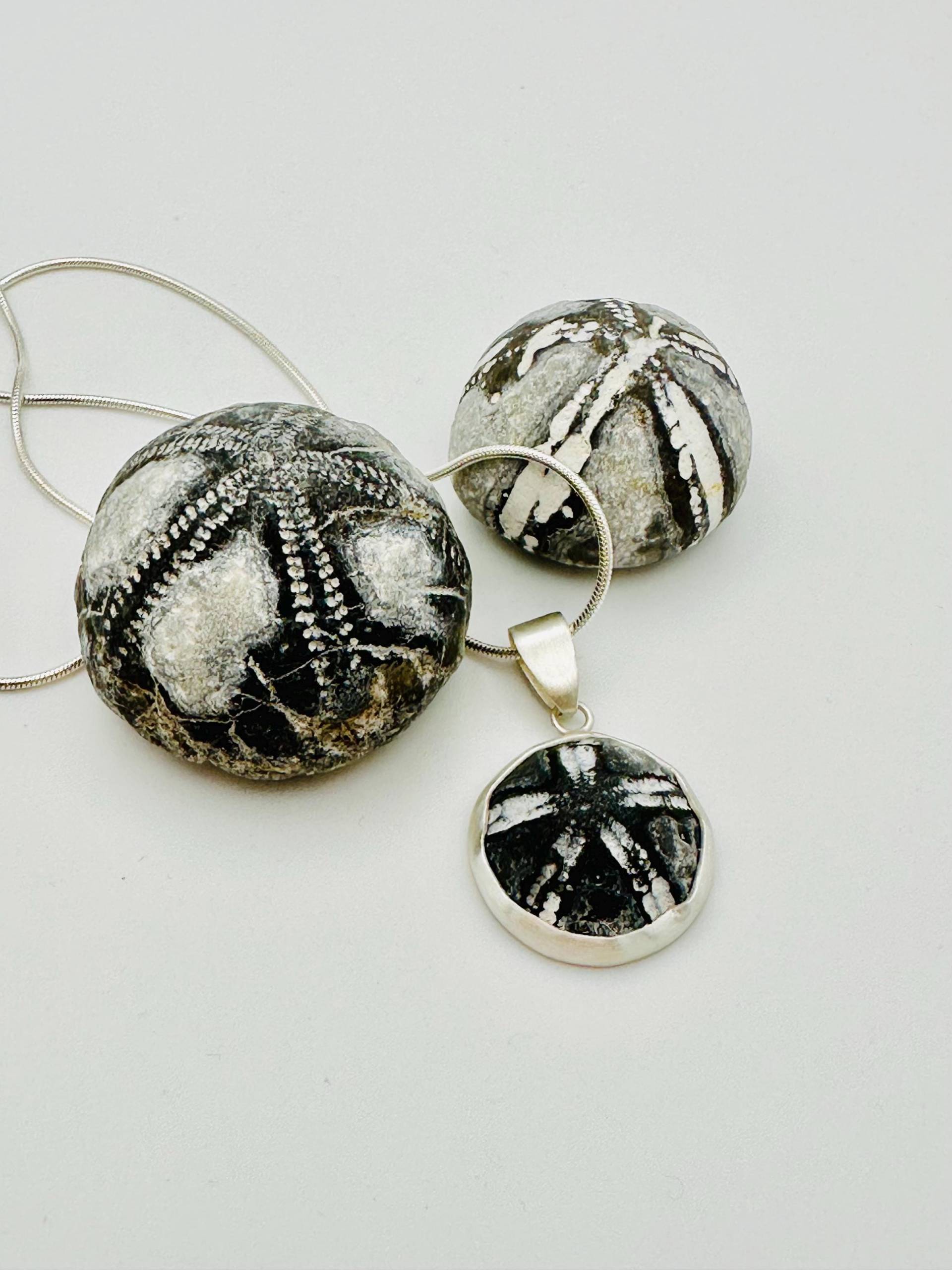 Seeigel Kette 4 von RuegenDesign