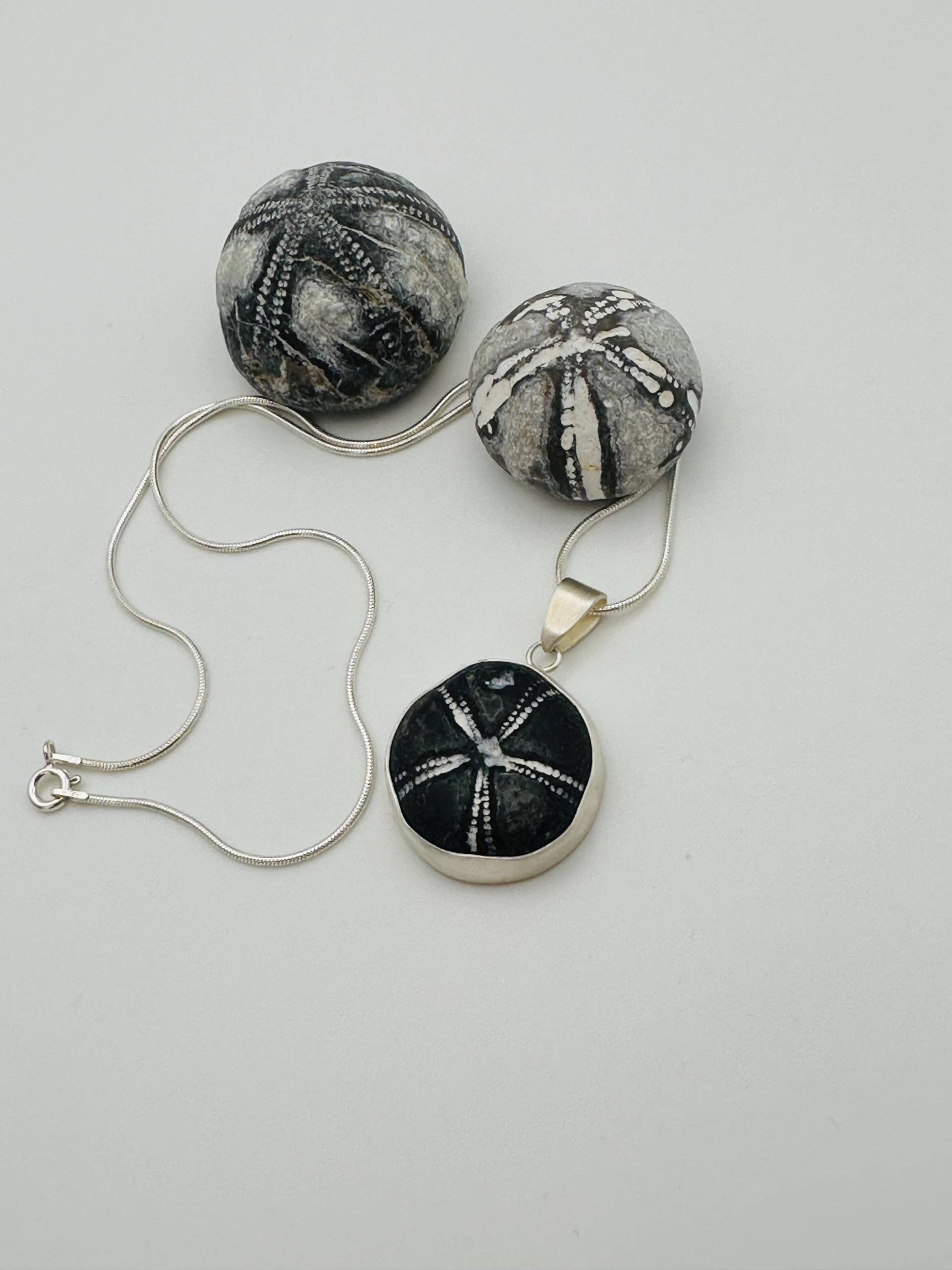 Seeigel Kette 5 von RuegenDesign