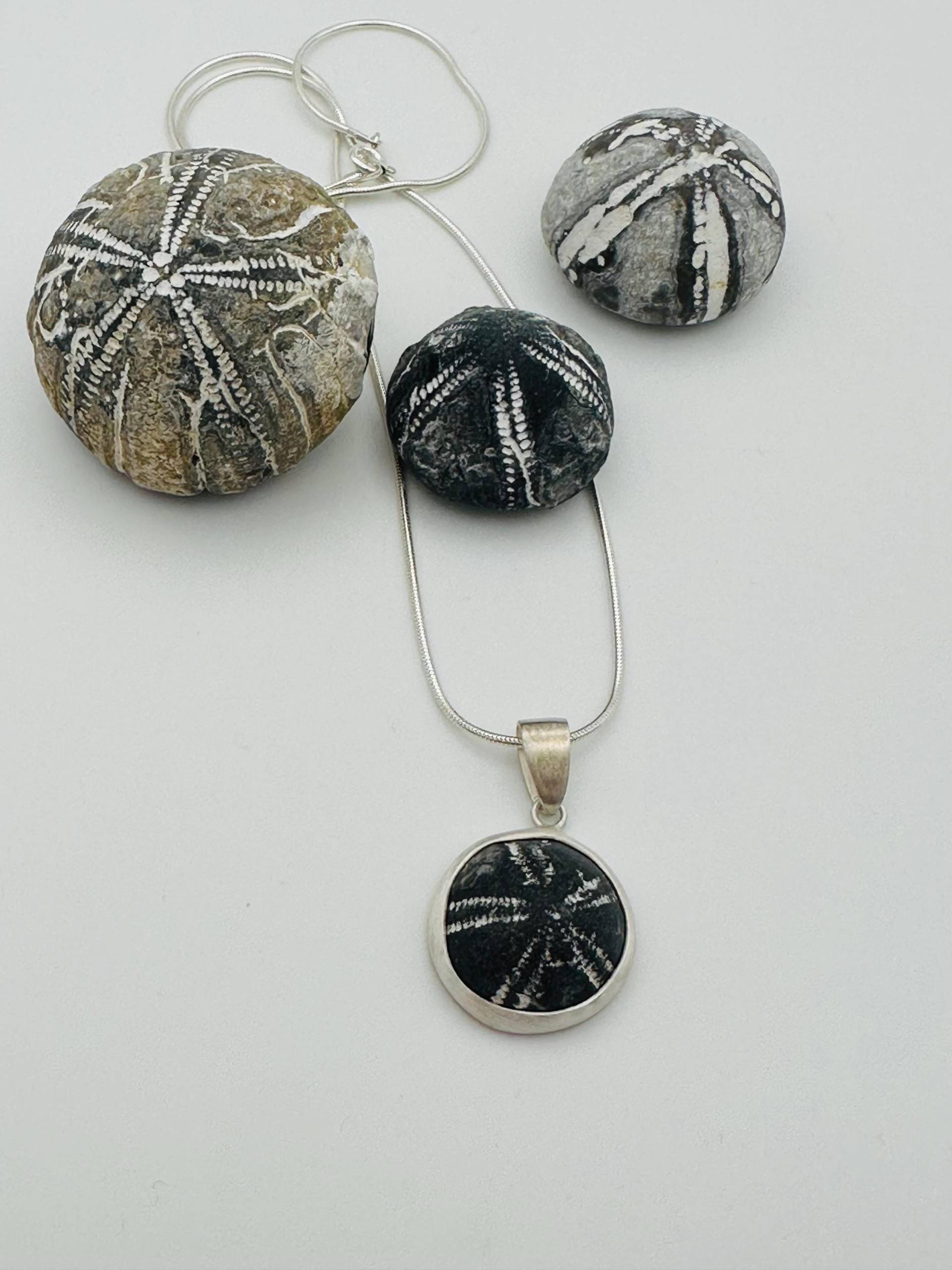 Seeigel Kette 6 von RuegenDesign