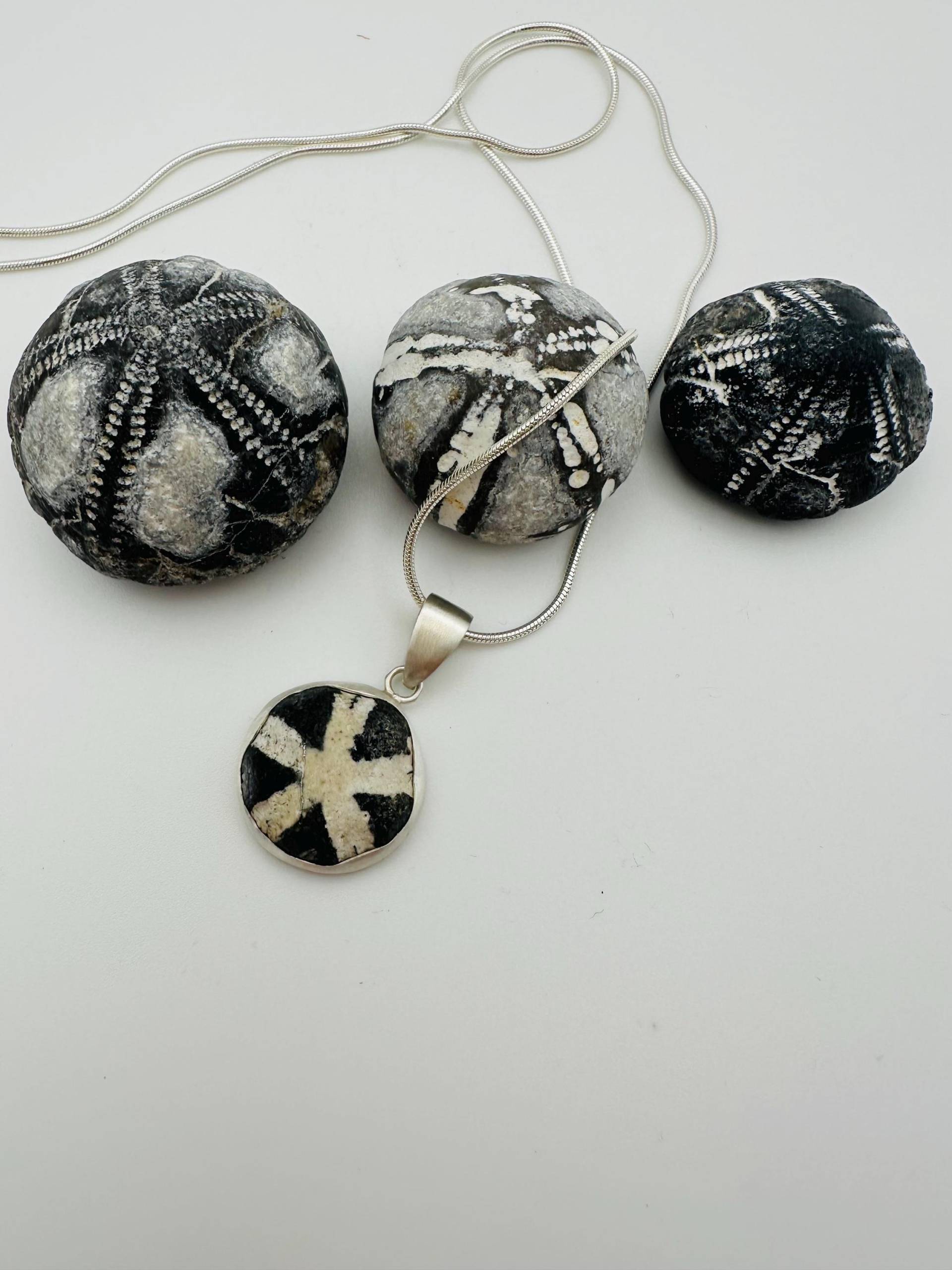 Seeigel Kette 8 von RuegenDesign