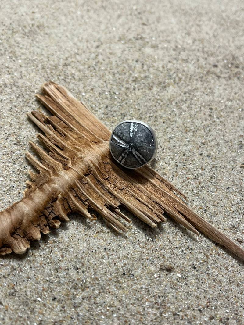 Seeigel Ring 7 von RuegenDesign