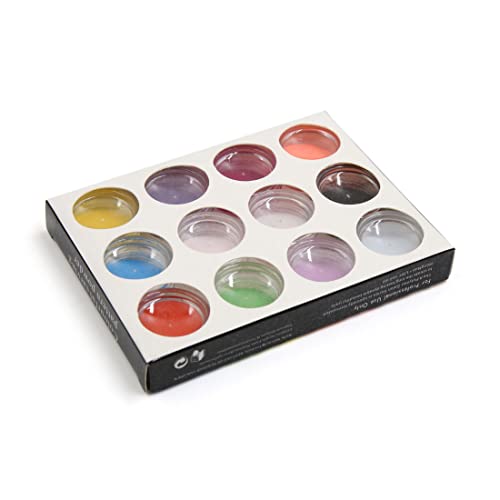 Ruilogod 1 Set 12 Farben Nail art Polnischer Salon DIY Skulptur Carving Staub Pulver Tipps Dekoration von Ruilogod